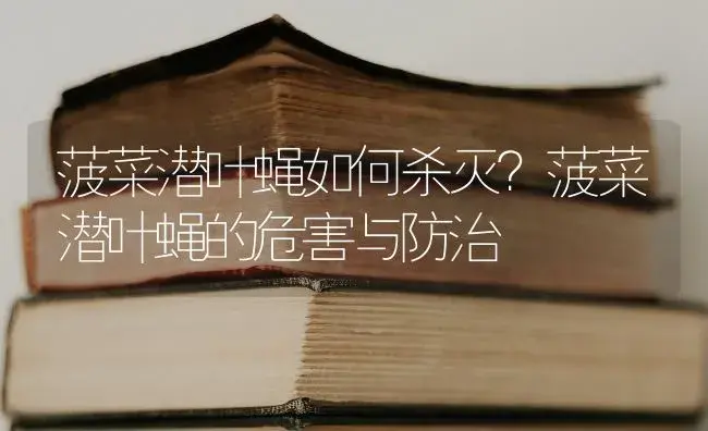 菠菜潜叶蝇如何杀灭？菠菜潜叶蝇的危害与防治 | 蔬菜种植