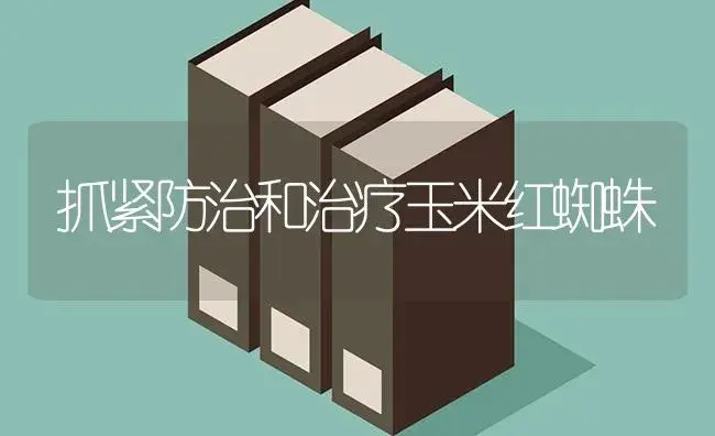 抓紧防治和治疗玉米红蜘蛛 | 蔬菜种植