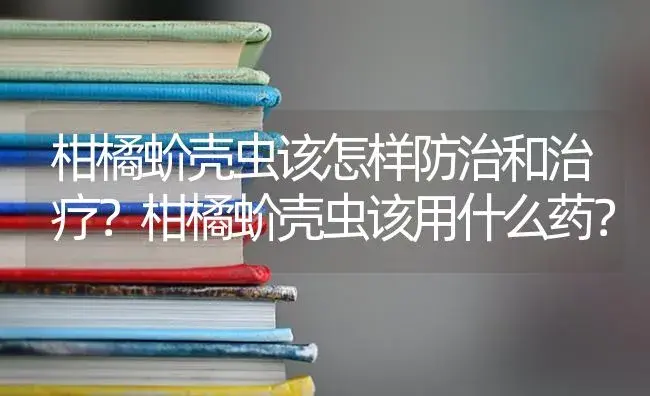 柑橘蚧壳虫该怎样防治和治疗？柑橘蚧壳虫该用什么药？ | 蔬菜种植