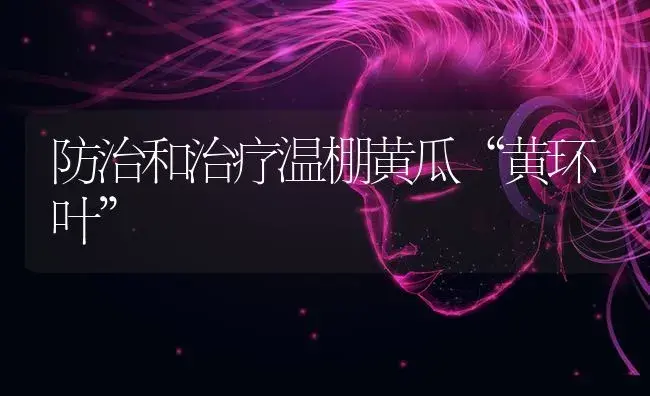 防治和治疗温棚黄瓜“黄环叶” | 蔬菜种植