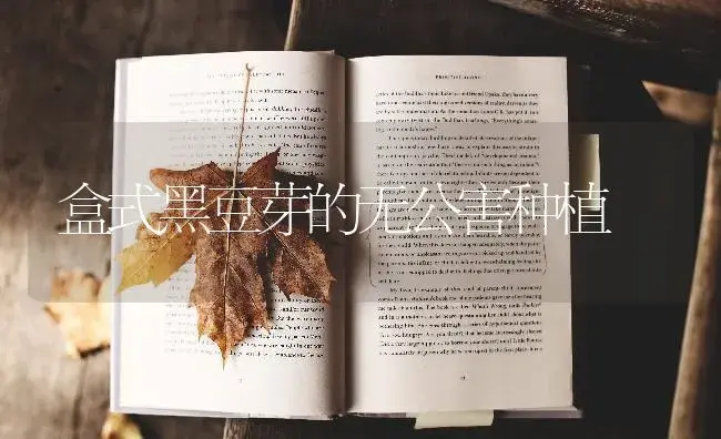 盒式黑豆芽的无公害种植 | 蔬菜种植