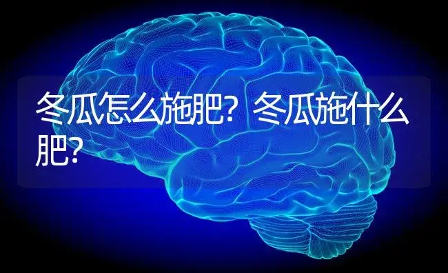 冬瓜怎么施肥？冬瓜施什么肥？ | 蔬菜种植