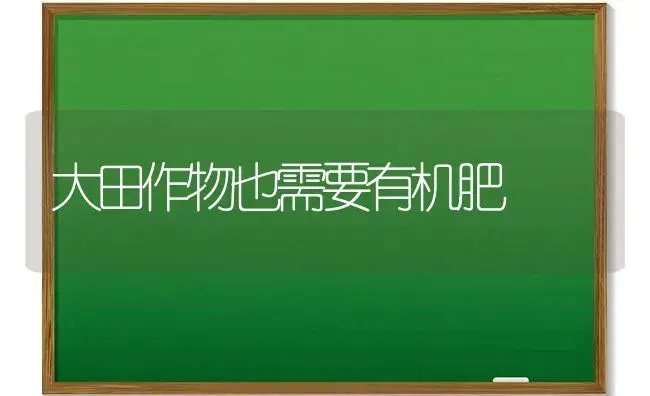 大田作物也需要有机肥 | 植物肥料