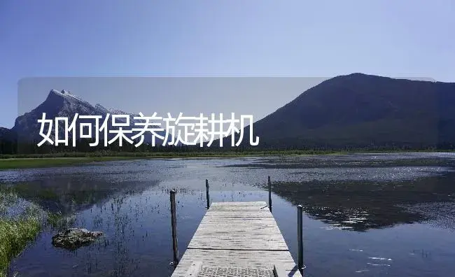 如何保养旋耕机 | 农资农机