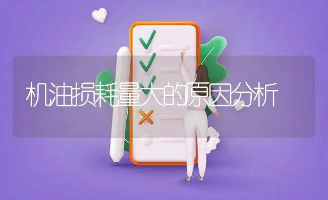 机油损耗量大的原因分析 | 农资农机