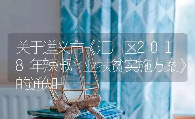 关于遵义市《汇川区2018年辣椒产业扶贫实施方案》的通知 | 蔬菜种植