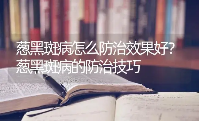 葱黑斑病怎么防治效果好？葱黑斑病的防治技巧 | 蔬菜种植