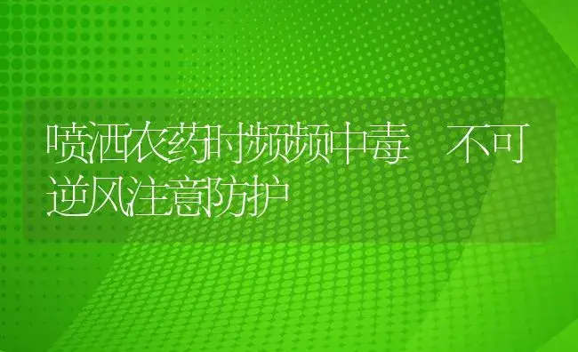 喷洒农药时频频中毒 不可逆风注意防护 | 植物病虫害