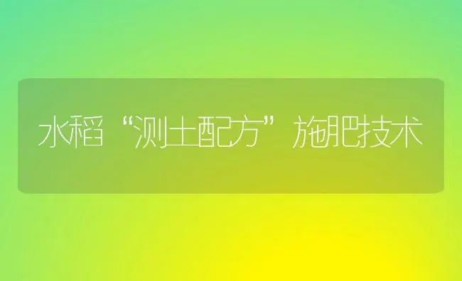 水稻“测土配方”施肥技术 | 植物肥料