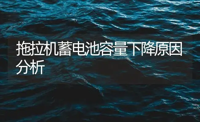 拖拉机蓄电池容量下降原因分析 | 农资农机