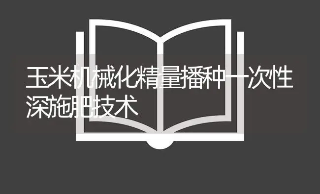 玉米机械化精量播种一次性深施肥技术 | 农资农机