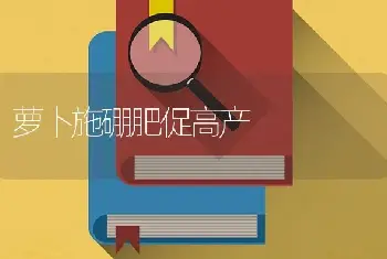 为什么给西瓜施足了肥料却还不甜？