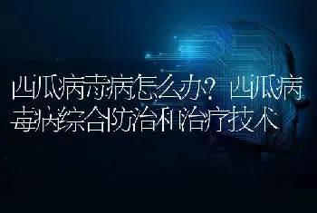 西瓜病毒病怎么办？西瓜病毒病综合防治和治疗技术