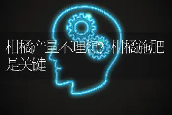 柑橘产量不理想？柑橘施肥是关键