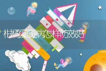 柑橘藻斑病怎样防效好