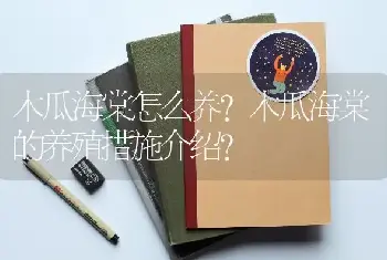 木瓜海棠怎么养？木瓜海棠的养殖措施介绍？