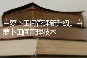 白萝卜田间管理新升级！白萝卜田间管理技术