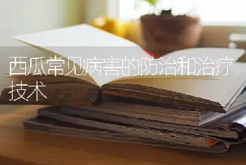 西瓜常见病害的防治和治疗技术