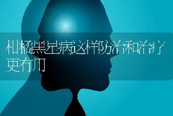 柑橘黑星病这样防治和治疗更有用