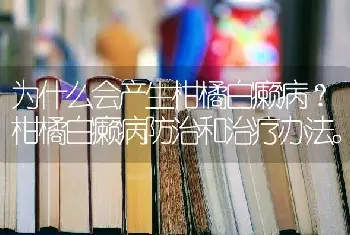 为什么会产生柑橘白癞病？柑橘白癞病防治和治疗办法。