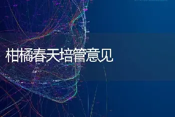 柑橘春天培管意见