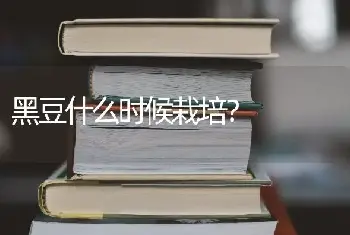 黑豆什么时候栽培？