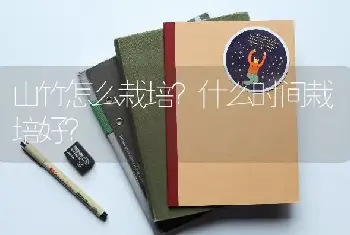 山竹怎么栽培？什么时间栽培好？