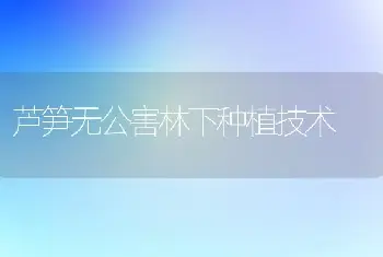 芦笋无公害林下种植技术