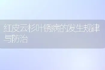 红皮云杉叶锈病的发生规律与防治