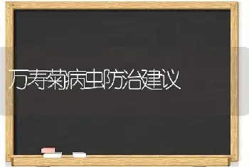 万寿菊病虫防治建议