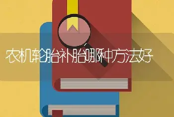 农机轮胎补胎哪种方法好