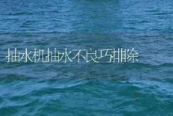 抽水机抽水不良巧排除