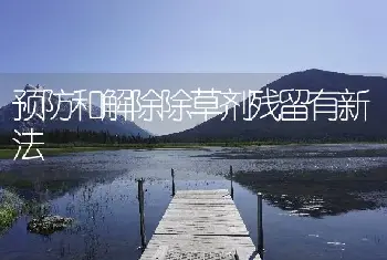 预防和解除除草剂残留有新法