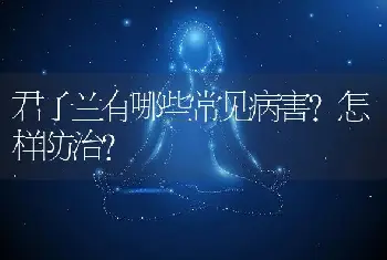 君子兰有哪些常见病害？怎样防治？