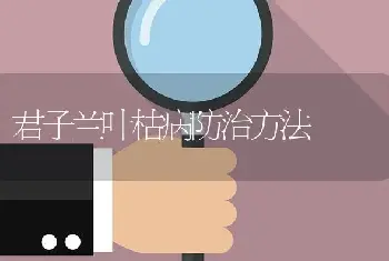 君子兰叶枯病防治方法