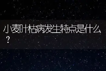 小麦叶枯病发生特点是什么？