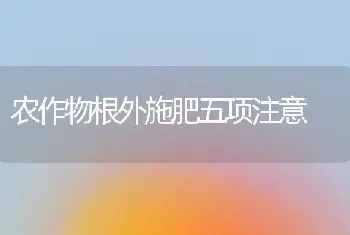 农作物根外施肥五项注意