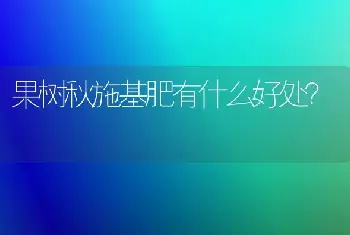 果树秋施基肥有什么好处？