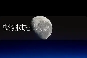 樱桃树施肥特点