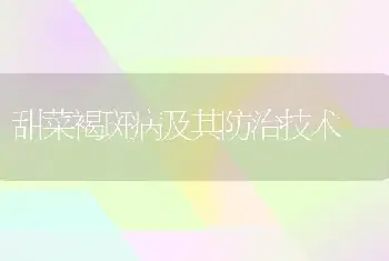 甜菜褐斑病及其防治技术