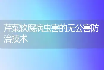 芹菜软腐病虫害的无公害防治技术