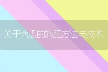 关于西瓜的施肥方法与技术