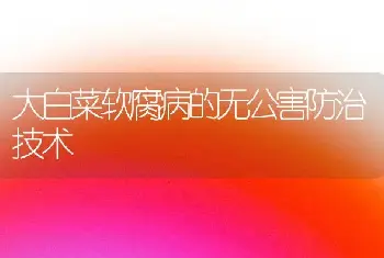 大白菜软腐病的无公害防治技术