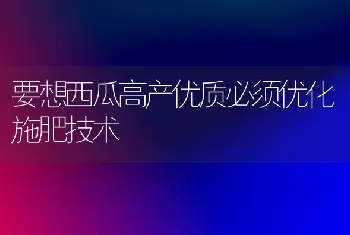 要想西瓜高产优质必须优化施肥技术