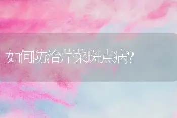 如何防治芹菜斑点病？