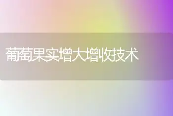 大蒜紫斑病防治方法