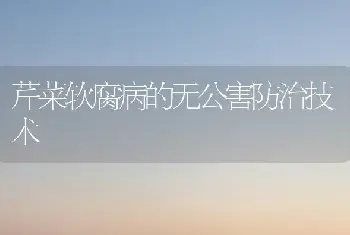 芹菜软腐病的无公害防治技术