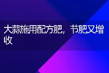 莴苣施肥有技巧