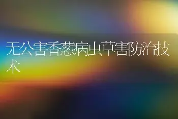 无公害香葱病虫草害防治技术