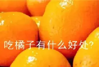 爱吃橘子的看过来。常吃有这6大好处；不能和什么搭配一起吃？